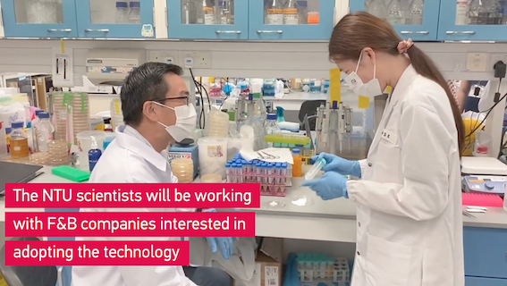 Singapore offers coated probiotics for effective delivery into human gut