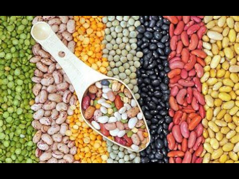 Equinom, AGT Foods collaborate to create plant-based protein ingredients