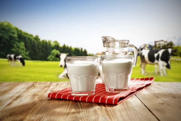 Nestlé Discover New Technologies for Animal-Free Dairy Proteins