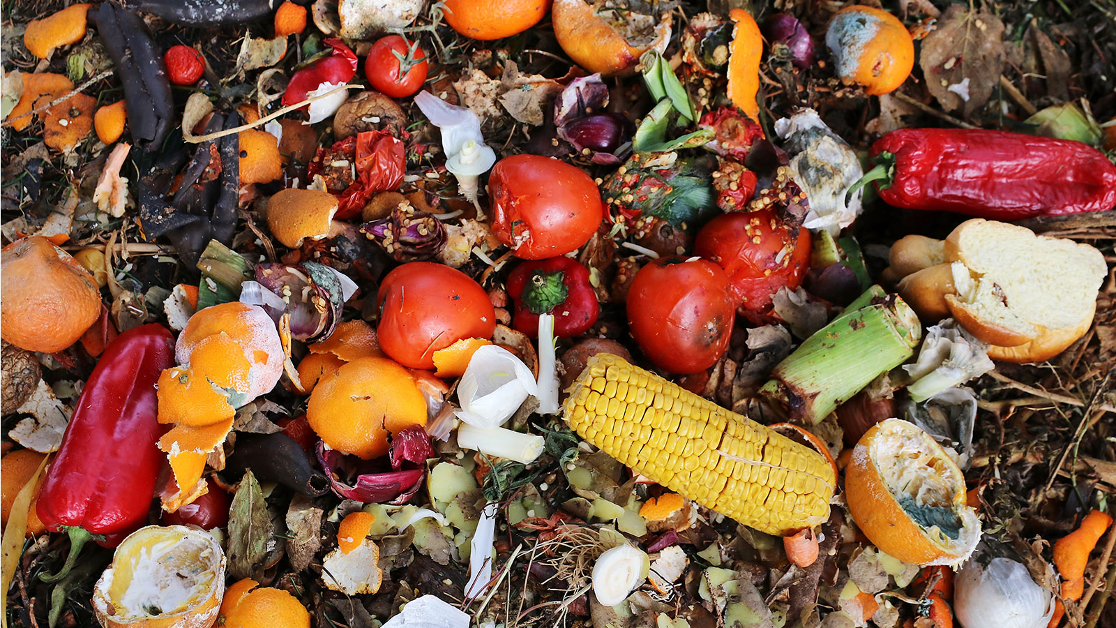ABC Impact invests in Winnow for food waste solutions