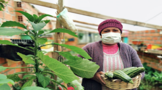 With fast urbanisation, food insecurity to increase in APAC: UN Report