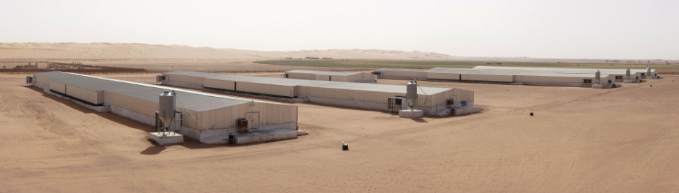 Tanmiah Food Company &amp; MHP Group to boost Saudi poultry production
