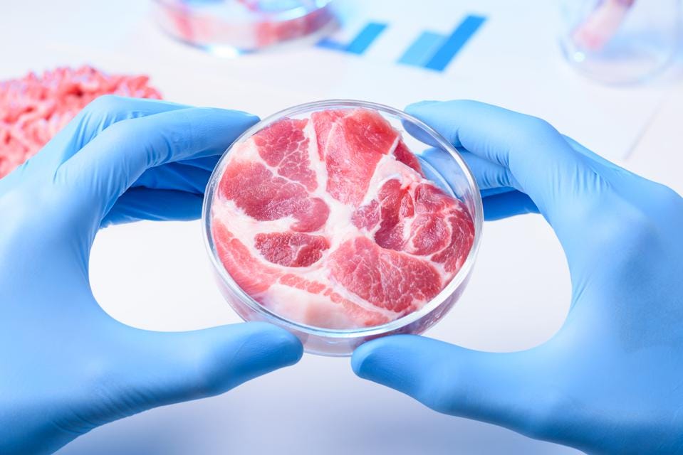 Higher well-being individuals more receptive to cultivated meat: Singapore study