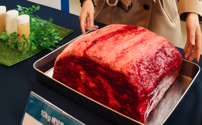Samsung picks cultivated meat startup TissenBioFarm for Accelerator Programme in Korea