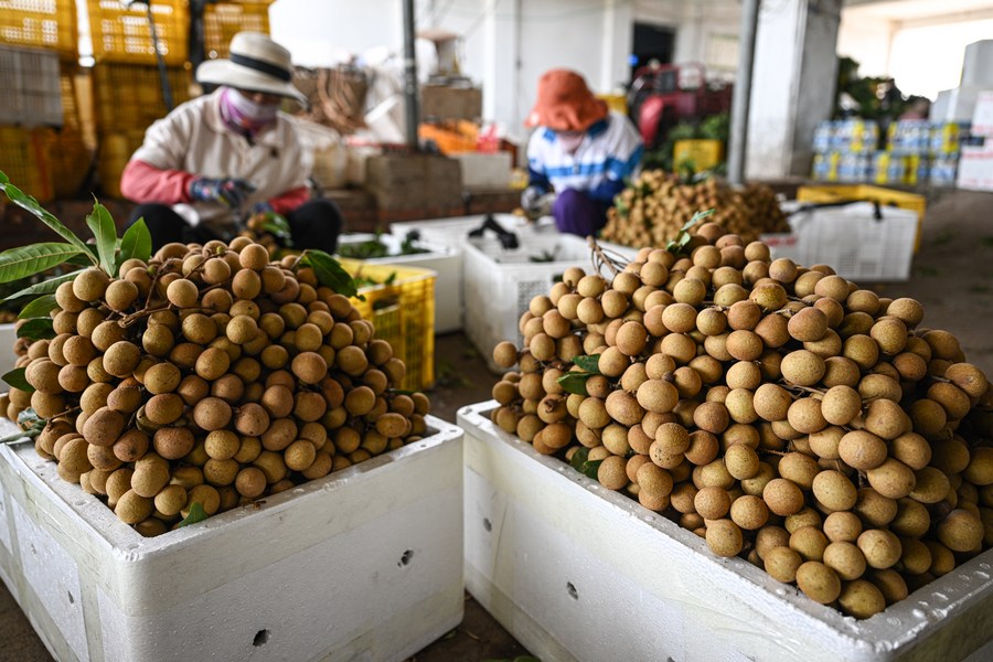 China Hainan’s tropical fruits exports reach $5.15Mn
