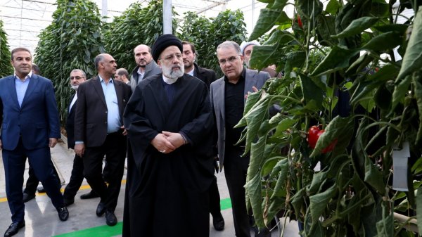Iran inaugurates modern glass greenhouses to grow bell peppers