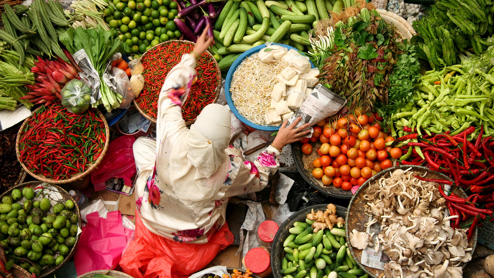International research team maps food policies in South Asia