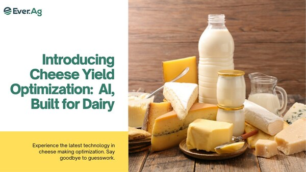 Ever.Ag launches AI-powered Cheese Yield Optimisation tool