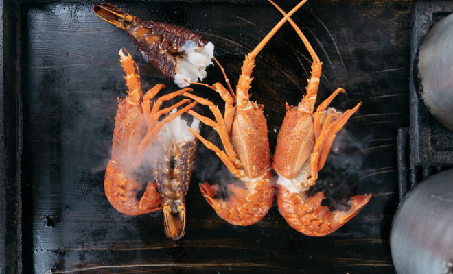 New Zealand removes shellfish biotoxin alert