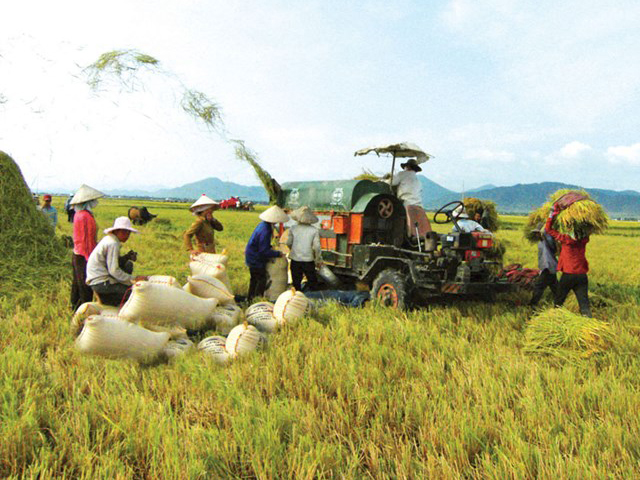 Vietnam’s rice exports reach a record 8.3 million tonnes in 2023