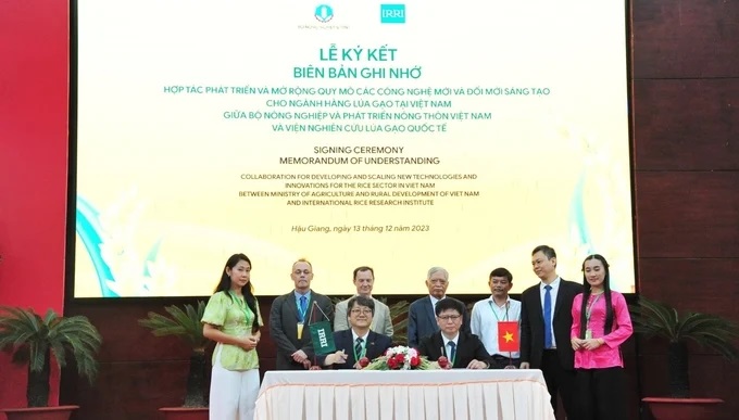 Vietnam and IRRI sign a MoU to enhance research in rice cultivation