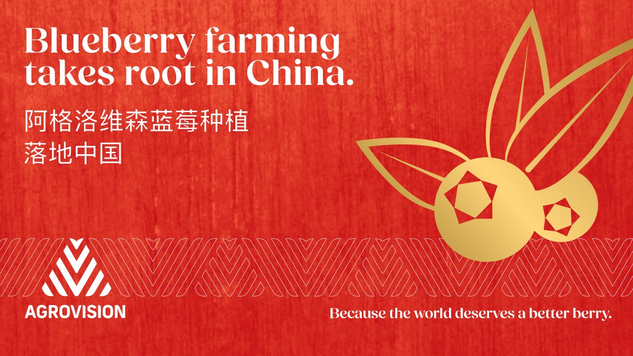 Agrovision signs agreement for berry farming operations in China