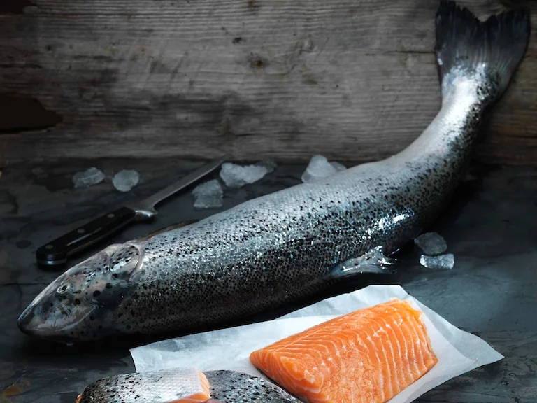 Scottish salmon top food export from UK in 2023
