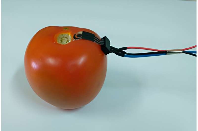 Brazil develops biodegradable sensors to monitor levels of pesticides in fruit and vegetables