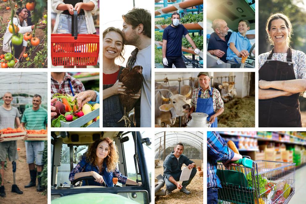 European Commission gathers views from all stakeholders in food supply chain