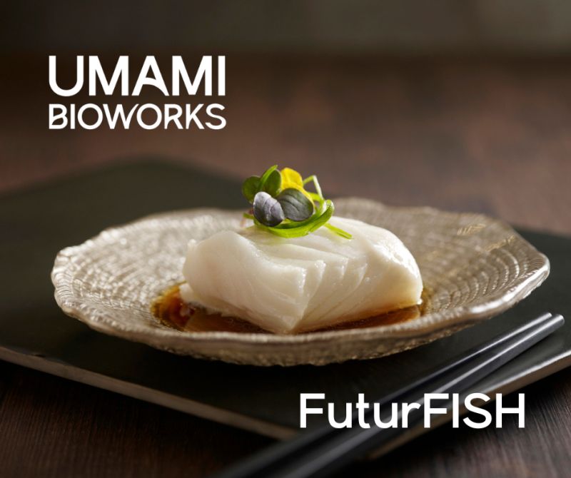 UMAMI Bioworks acquires Shiok Meats