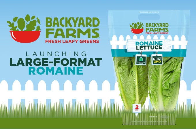 Backyard Farms launches large-format, greenhouse-grown Romaine lettuce