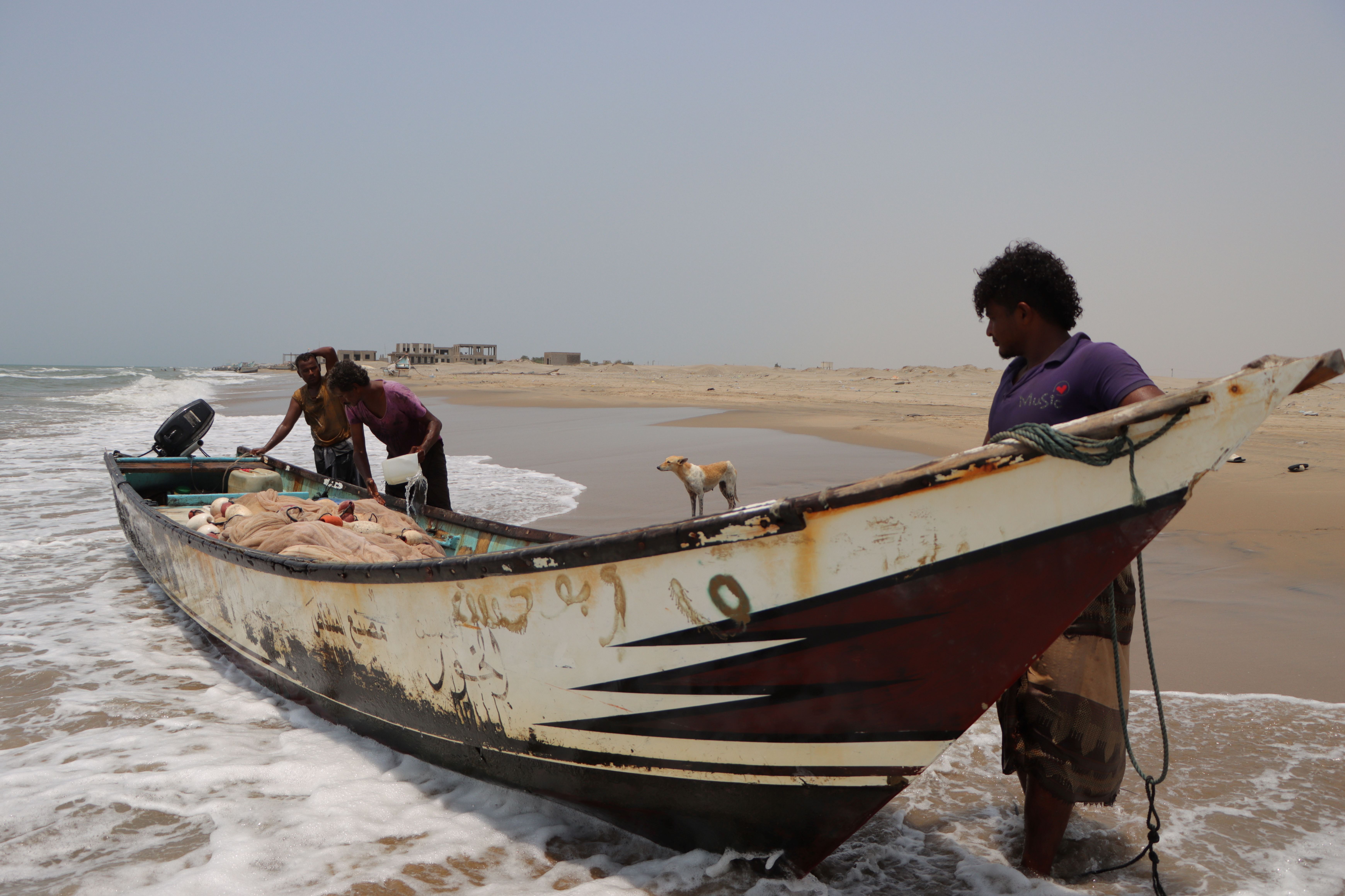 Red Sea shipping disruptions to exacerbate dire situation in Yemen: FAO