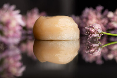 AQUA Cultured Foods partners with Ginkgo Bioworks to optimise alt-seafood