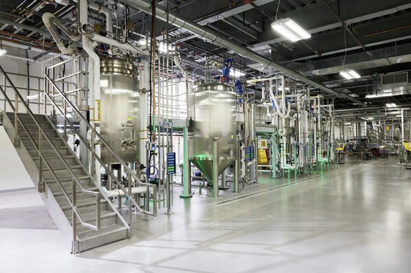 GreenLab partners with Ginkgo Bioworks to scale up production of sweetener
