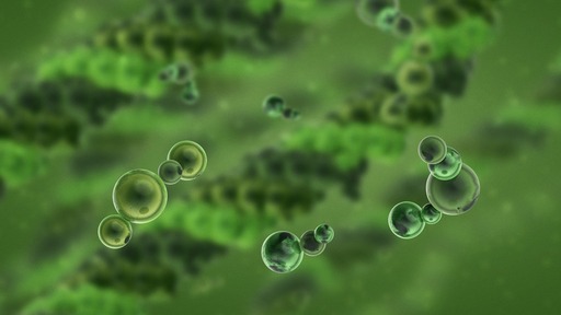 Groundbreaking Innovation Shaping the Future of Collagen Peptides