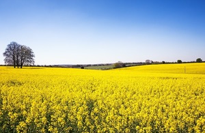 UK unveils major package for food sector support