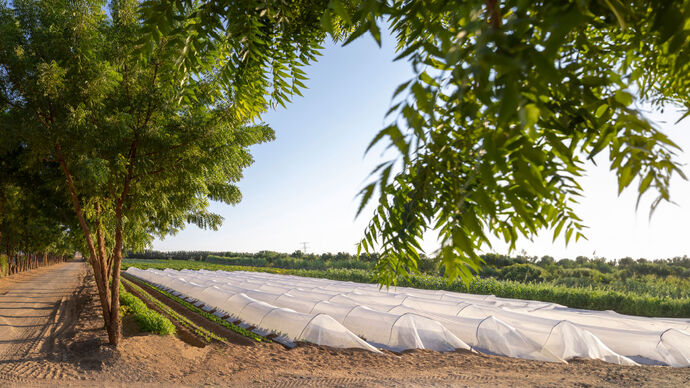 ADAFSA decides on food and fodder sampling for control and inspection