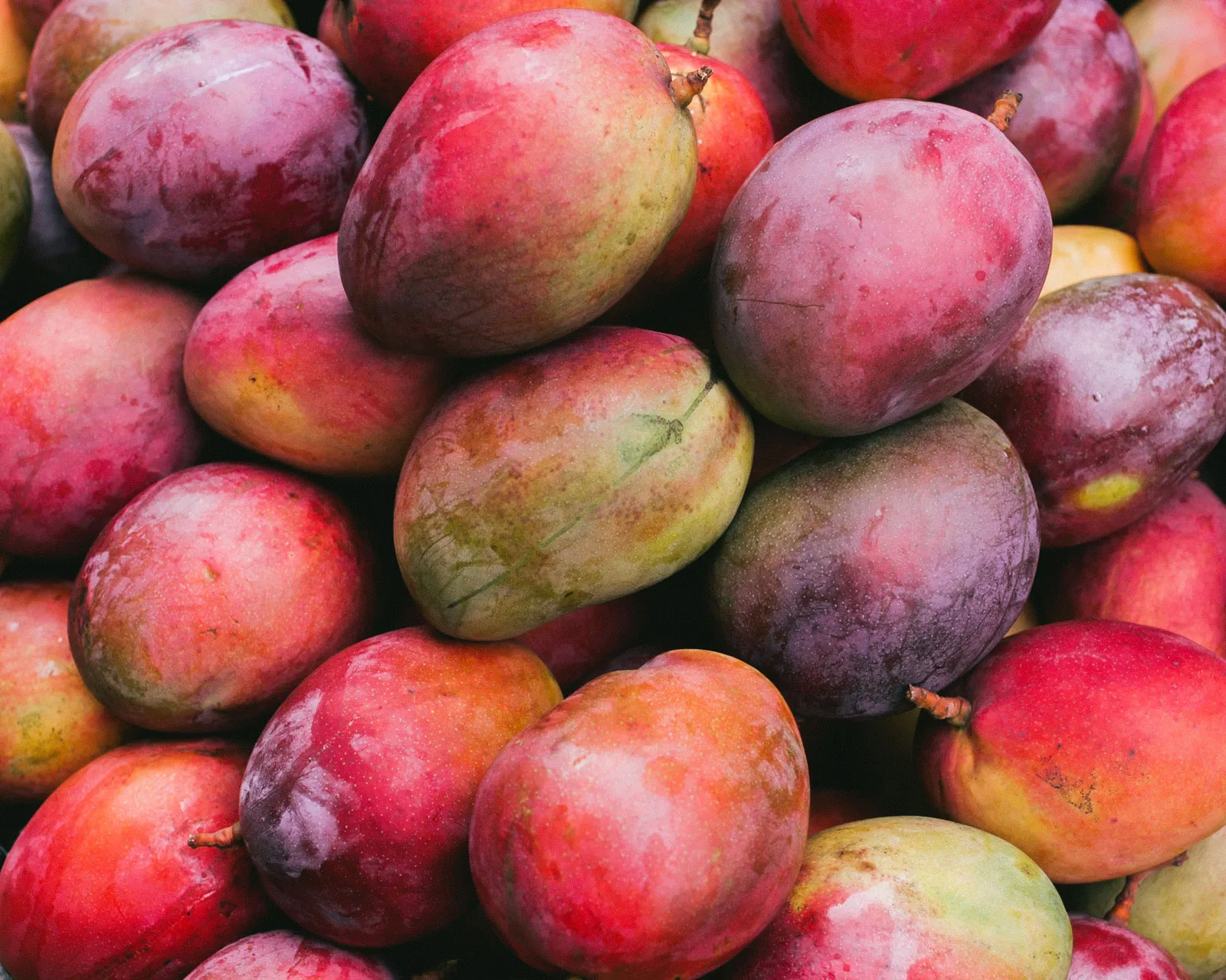 Thai mango exports up by 45%