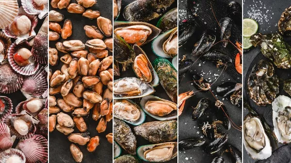 Research says Vibrio bacteria in seafood expected to increase