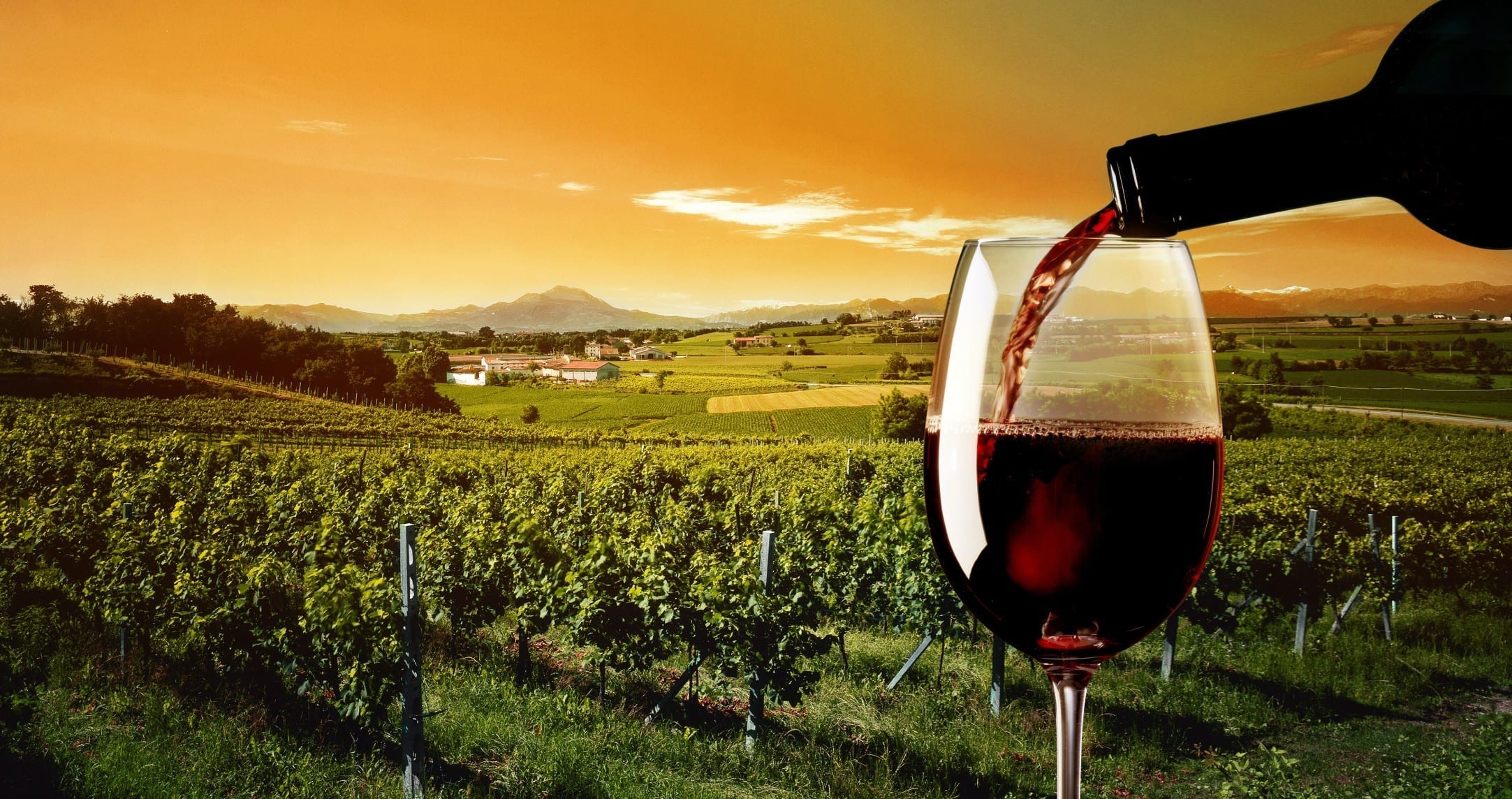Transformation of Chinese wine market