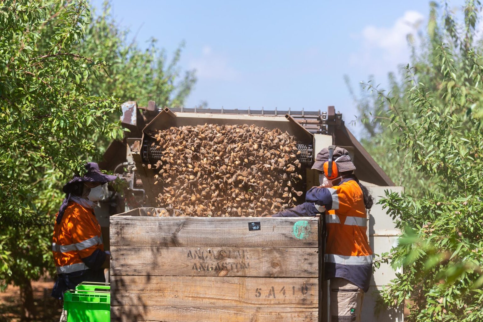 Australia’s almond exports up by 35%