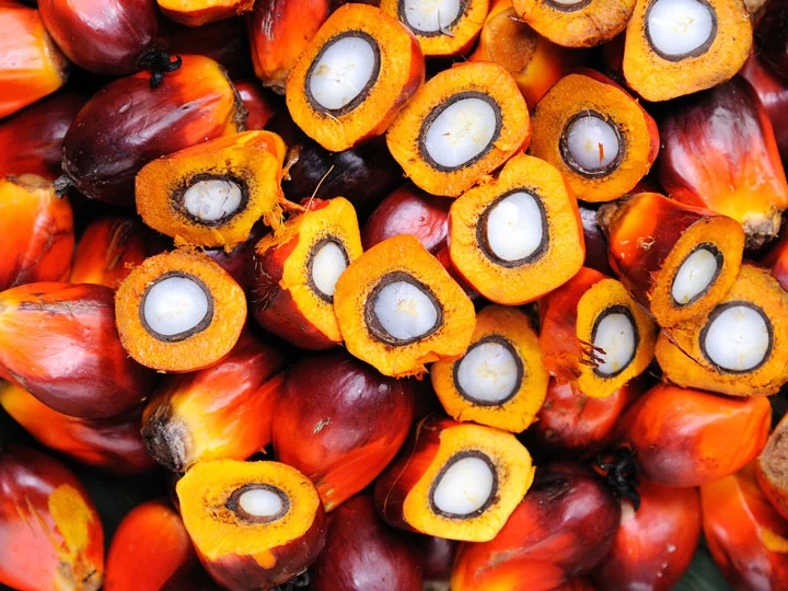 Intertek Caleb Brett expands testing capabilities for animal fats and used cooking oils