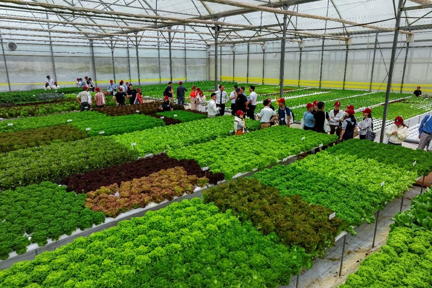 Rijk Zwaan opens new trial station in Vietnam 