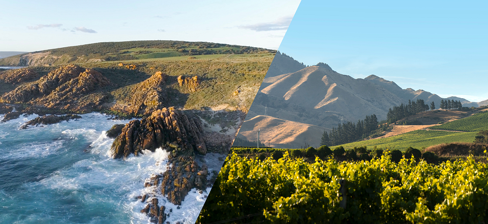 UK and Ireland trade tasting collaboration offers wine trade access from Australia and New Zealand