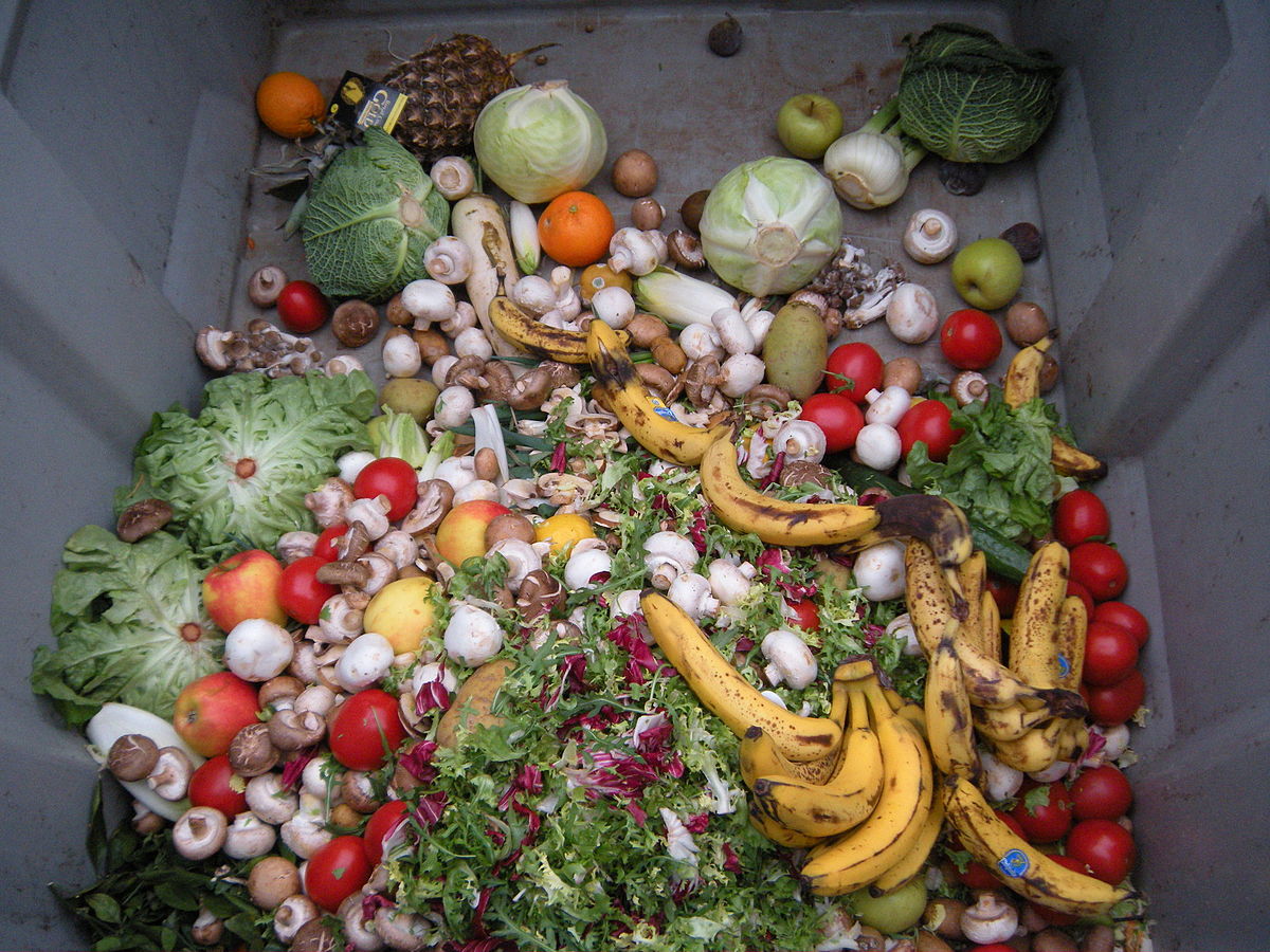 Australia’s núaFEEDs to transform UAE’s food waste into livestock feed