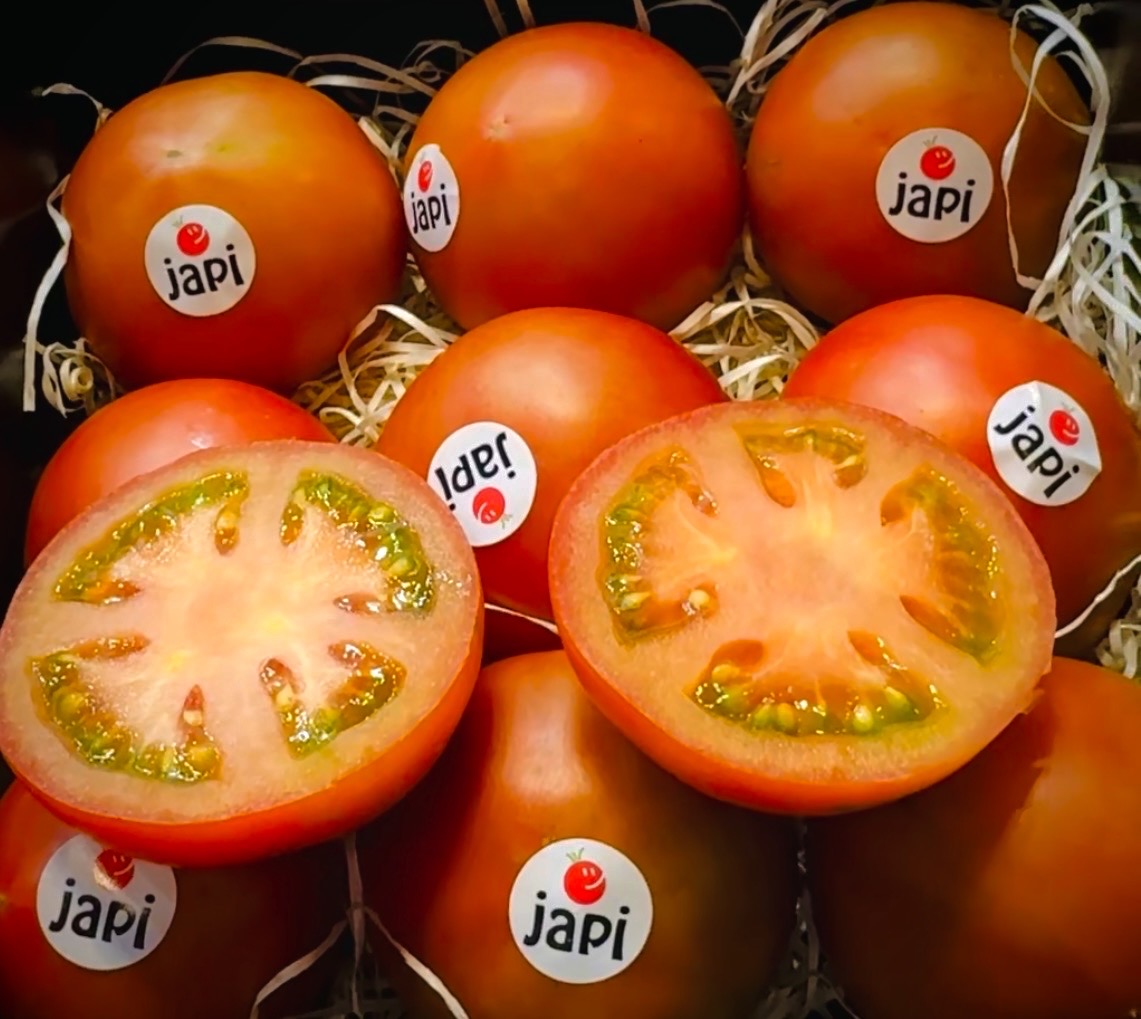 Sakata Seed Ibérica unveils Japi gourmet tomato