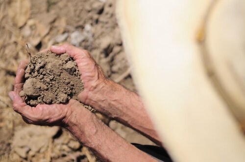 PepsiCo’s climate resilience platform 2.0 boosts global farm sustainability