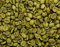 Cropster buys Firescope, targeting growth in independent roasters across Asia