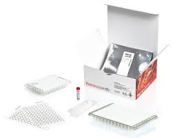 Thermo Fisher Scientific introduces Multi-Parameter Molecular Assay for rapid beverage quality testing