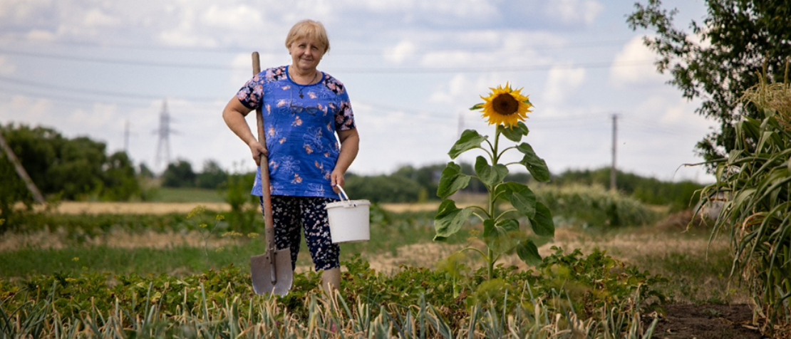 FAO sets out three-year emergency and early recovery plan for Ukraine’s agrifood sector