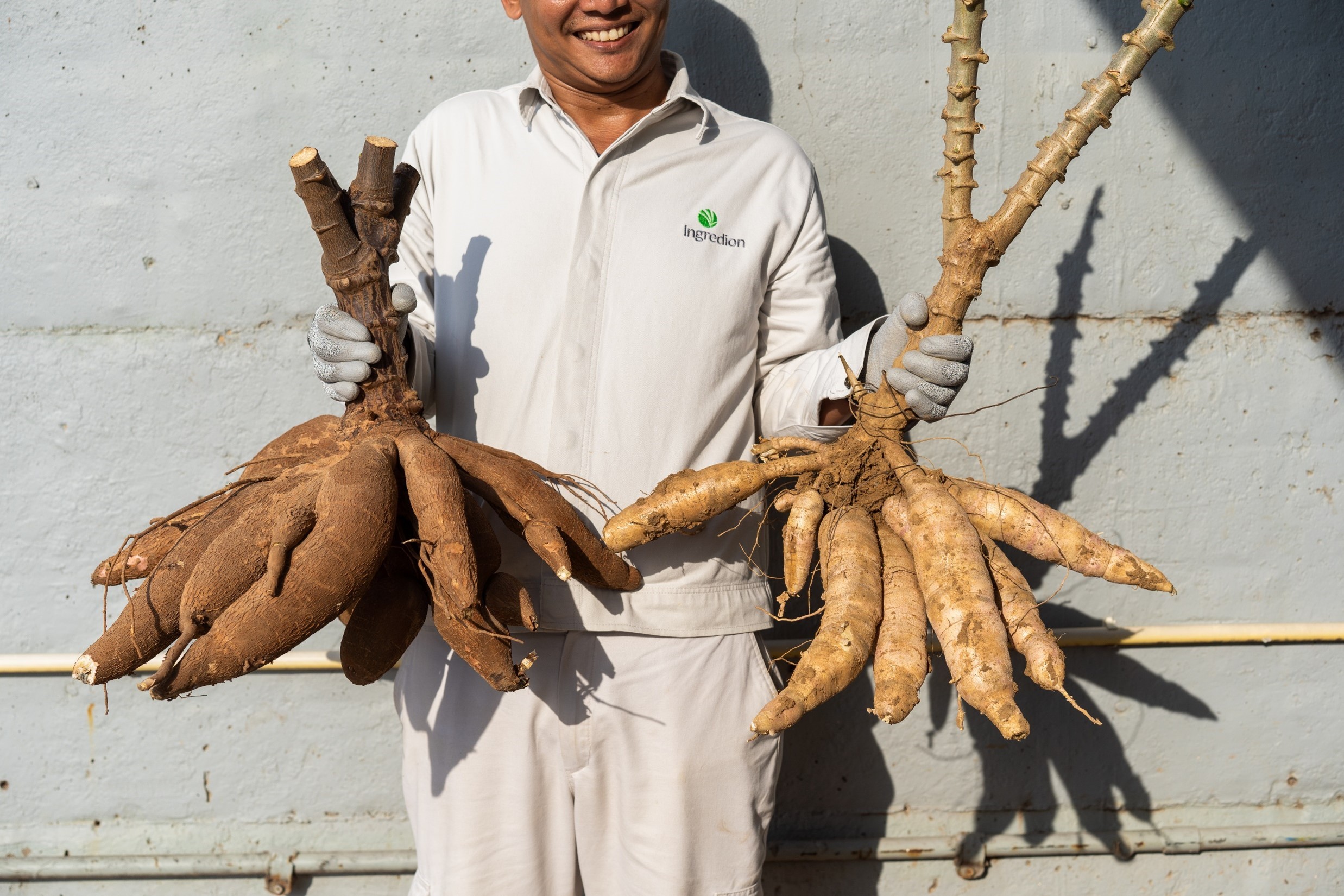 Ingredion’s Thailand Milestone Signals Shift Toward Verified Ingredient Supply Chains