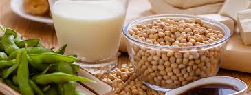Australia and New Zealand Approve Soy Protein Heart Health Claim