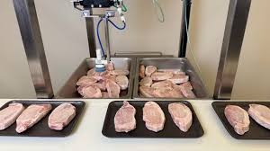 Chef Robotics Unveils AI-Powered Tray Assembly for Meatpacking