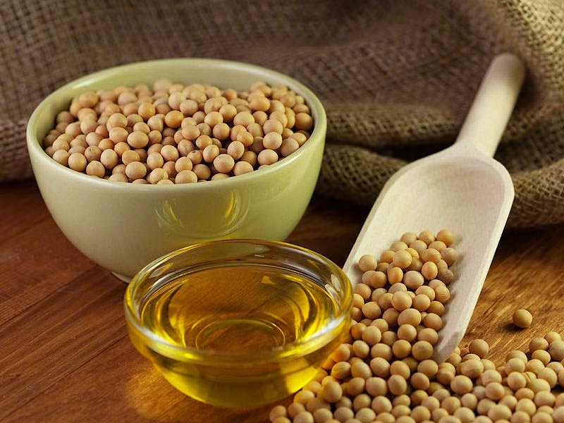Kaneka Foods Indonesia to set up processed oil facility