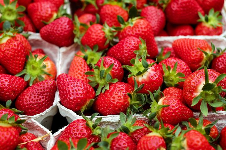NRGene, Toyota to enhance strawberries production in Japan