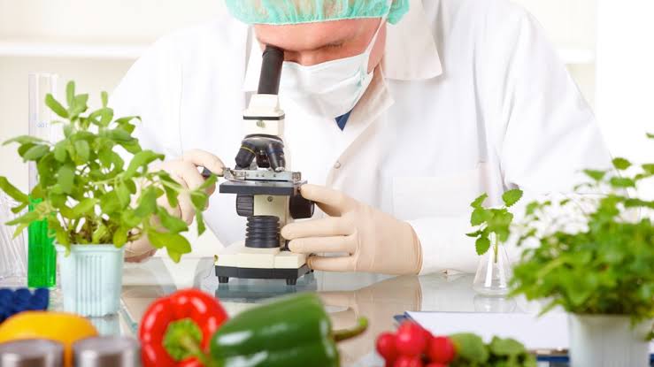 Ajinomoto and Accenture to establish joint venture