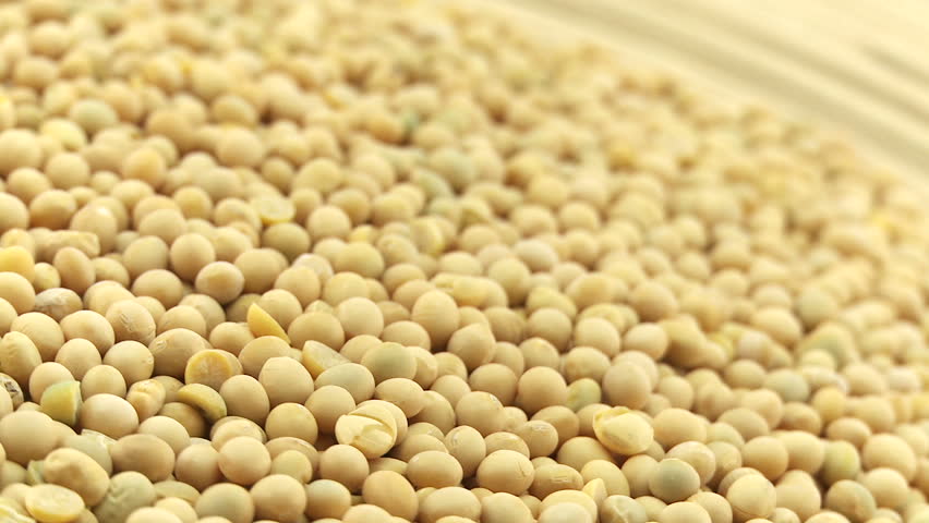 Thailand initiates programme to inspect soyabean products