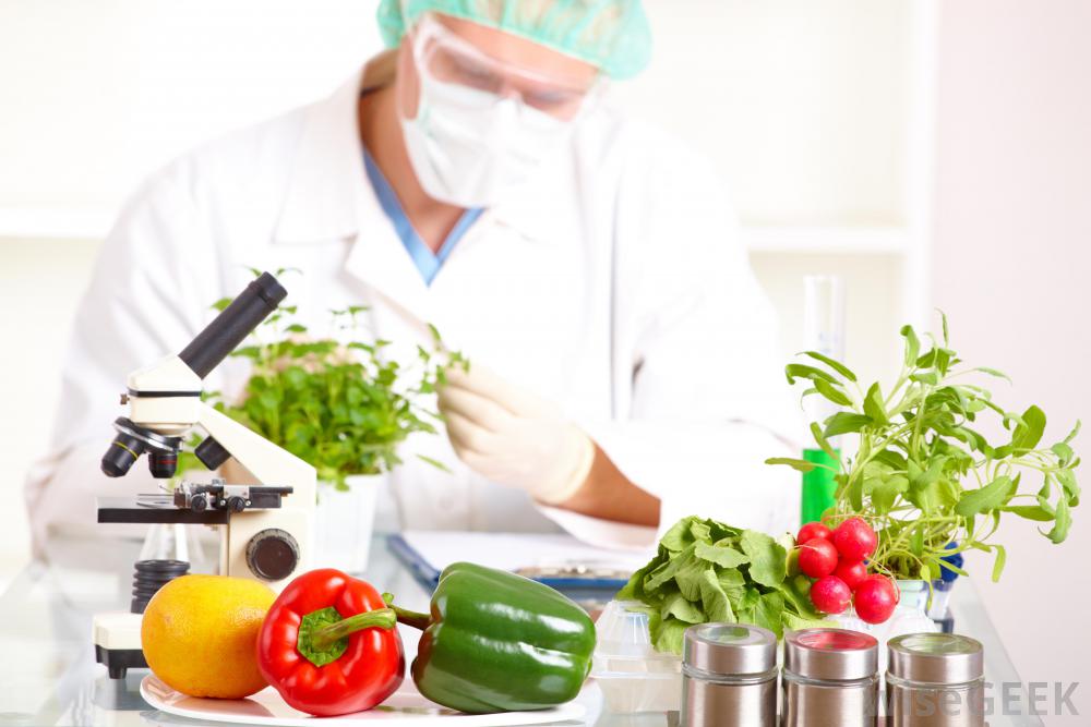Scientists use bacteria for fortifying food with riboflavin
