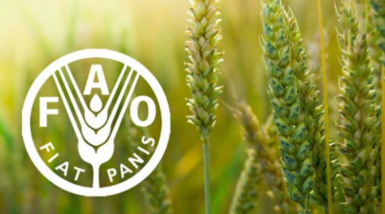 FAO puts in funds for agriculture and nutrition