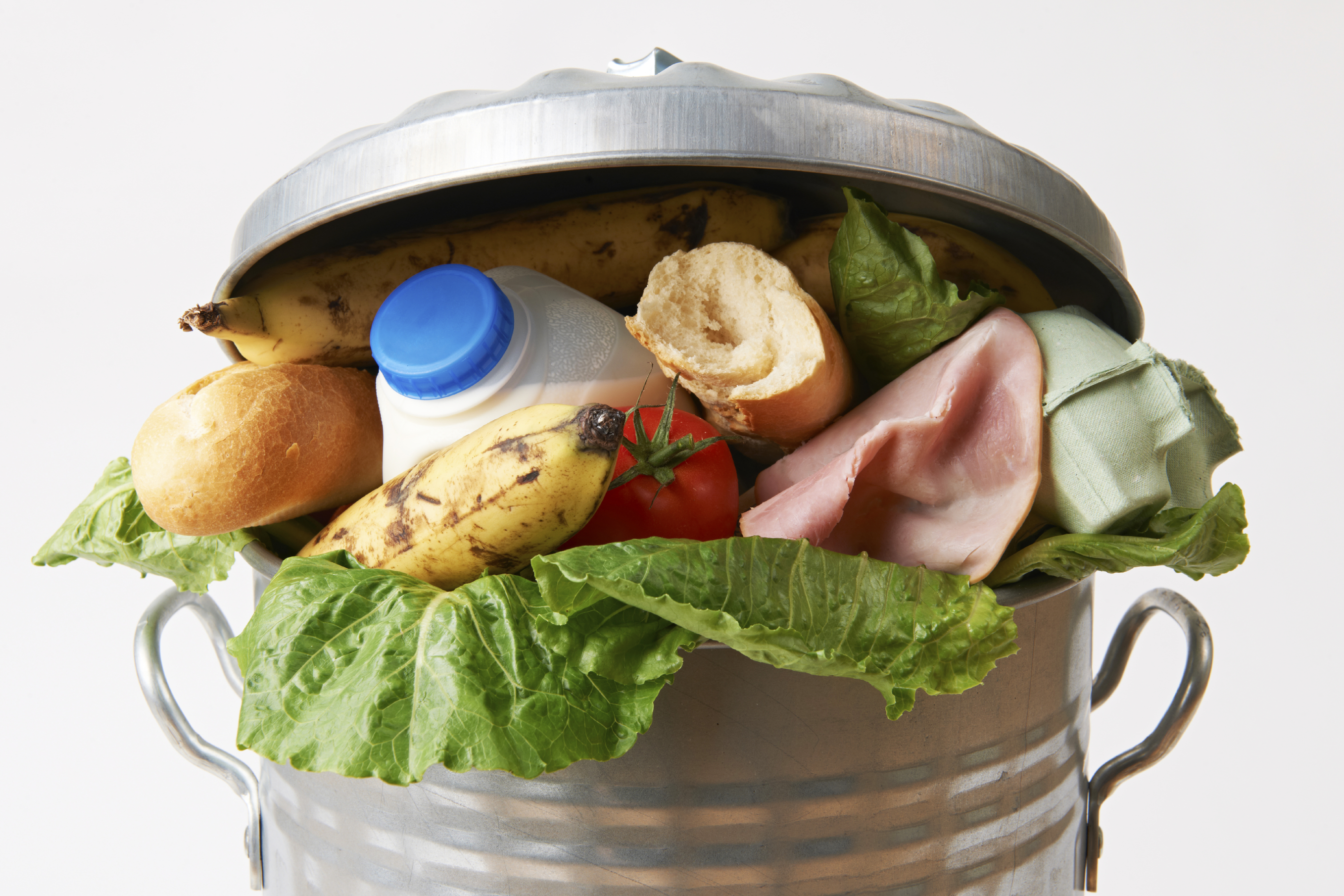 Singapore students turn food waste into fertilizer